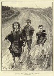 Estudios de la Vida en Irlanda, VI